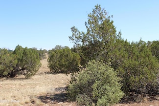 Section 9 T14n R16e, Heber, AZ 85928