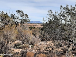 094 Denny 5 Rd, Seligman, AZ 86337