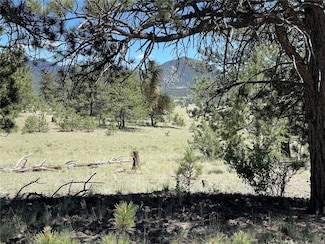333 Jasper Way, Hartsel, CO 80449