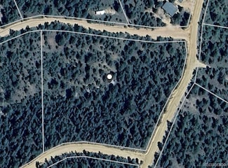 7935 County Road 51 Unit 32, Divide, CO 80814