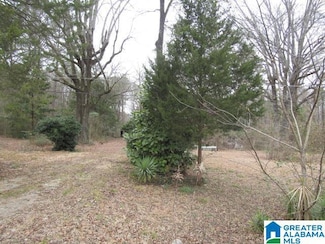 253 Old County Road 109, Anniston, AL 36201