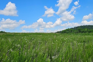 000 County Road Ac-350, Dora, MO 65637