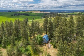 11311 S Stevens Creek Rd, Spokane, WA 99223