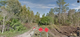 0 Amarillo St Unit 225071948, Bonita Springs, FL 34135