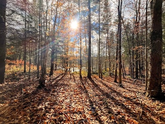 00 Boyd Pond Rd Unit Lot 8 & 9, Russell, NY 13684