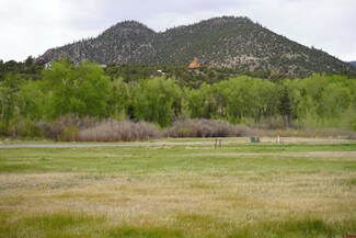 48 Iron Bridge Place, South Fork, CO 81154