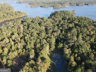 14, 15 Shore Line Dr, Tignall, GA 30668