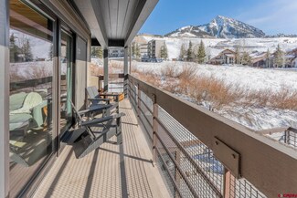 400 Gothic Rd Unit 207, Crested Butte, CO 81225