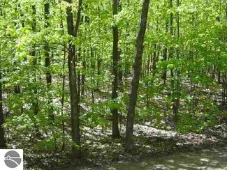 Parcel A W Sleepy Hollow Trail, Interlochen, MI 49643