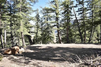 Lots 7-12 Blk 91, Jasper, CO 81144