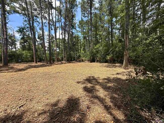 2 Acres Norma Dr, Denham Springs, LA 70726