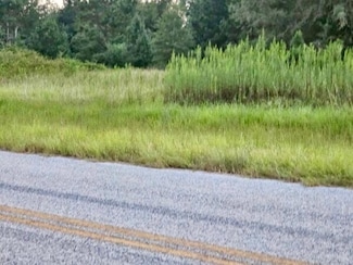 300 Home Tract Rd, Waynesboro, GA 30830