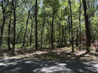 18 Masters Dr, Daufuskie Island, SC 29915