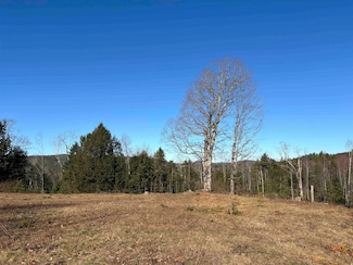 Lot 11-5 Ball Park Rd, Goshen, NH 03752