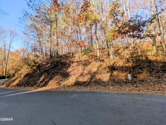 Lot 483 School House Gap Rd, Sevierville, TN 37876