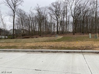 4138 Timber Trail, Medina, OH 44256