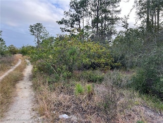 354 Summer Hill Dr, Lake Placid, FL 33852