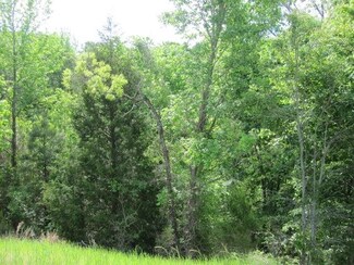 8 Highway 310, Waterford, MS 38685