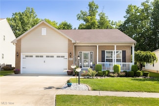 3669 Firethorn Dr, Aurora, OH 44202