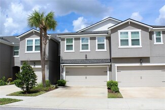 14244 Damselfly Dr, Tampa, FL 33625