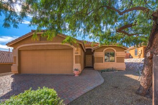 61033 E Forelock Place, Tucson, AZ 85739