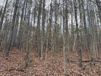 0 George Newell Rd Unit 22533790, Brookwood, AL 35490