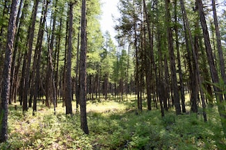 Lot 2b Phills Lake Rd, Rexford, MT 59930