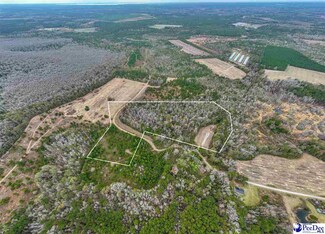 17.72 Acres Whitmire Ln, Manning, SC 29102