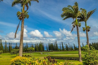 301 Plantation Estates Dr, Lahaina, HI 96761