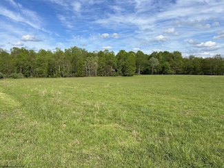 TBD Mcnair Rd, Albright, WV 26519