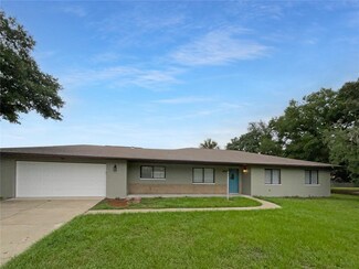 35035 Dolphin Lake Dr, Zephyrhills, FL 33541