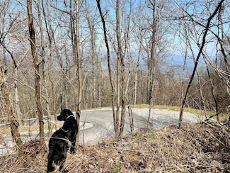 858 Mitchell View Dr Unit 858, Old Fort, NC 28762