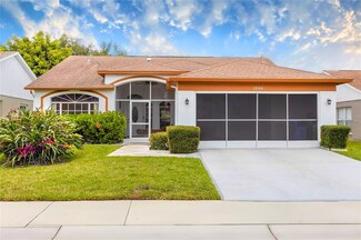 13105 Barth Place, Riverview, FL 33579