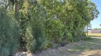 10 N Magnolia St, Fellsmere, FL 32948