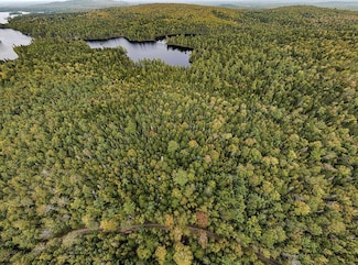 Lot 11-1 Carry Ridge Rd, Northfield, ME 04654