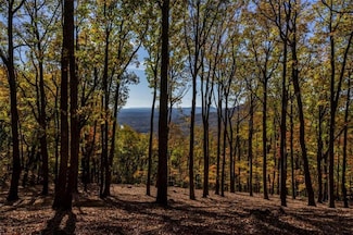40.5 A Windsong, Jasper, GA 30143