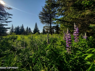 17509 Chefornak St, Happy Valley, AK 99639