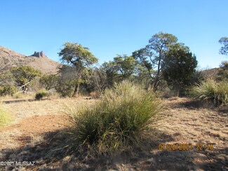 5.4 Acres W Hilltop Rd Unit 5.4, San Simon, AZ 85632