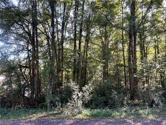 .17 AC Taft St, Mayodan, NC 27027