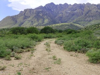 2571 S H Bar M Rd, Portal, AZ 85632