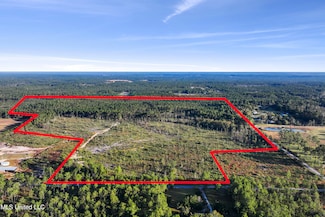 0 Jim Ramsay Rd Unit 4100602, Vancleave, MS 39565