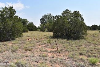72 Dawn Ln, Concho, AZ 85924
