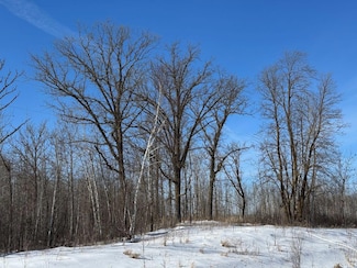 15a Hines Rd NE, Hines Township, MN 56647