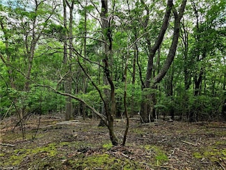 TBD Red Fox Trail, Boone, NC 28607