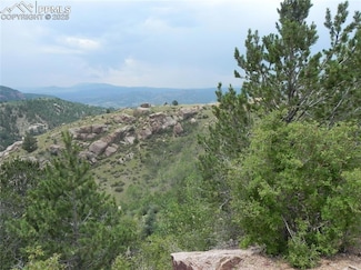 67 Ajax Ct, Cripple Creek, CO 80813