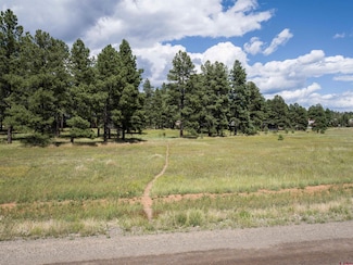 1520 Antelope Ave, Pagosa Springs, CO 81147