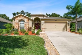 3608 Grecko Dr, Wesley Chapel, FL 33543