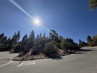 0 Ironwood Dr Unit 32405536, Big Bear, CA 92315