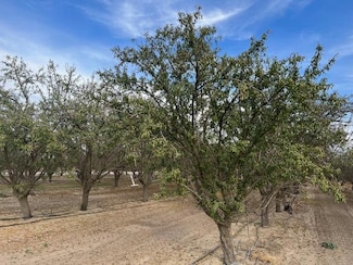 1105 E Rose Ave, Fresno, CA 93725