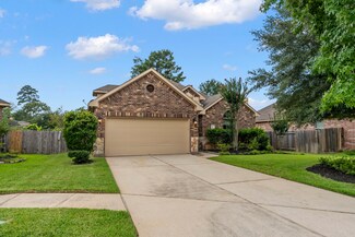1070 Cedar Lake Ct, Conroe, TX 77384